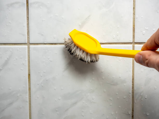Best Best Mold Removal Companies  in Buhler, KS
