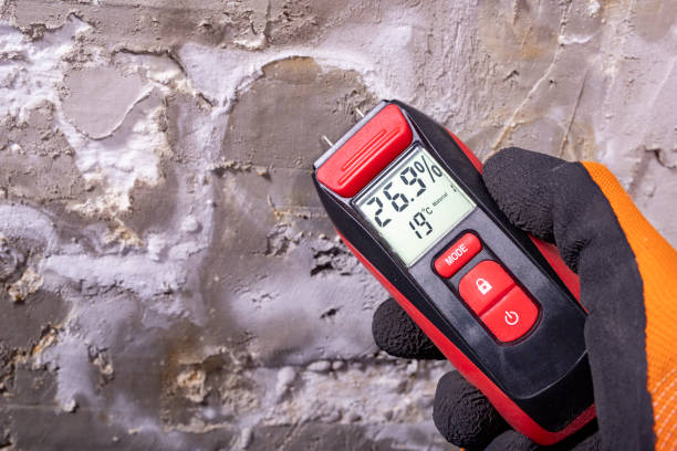 Crawl Space Mold Removal in Buhler, KS