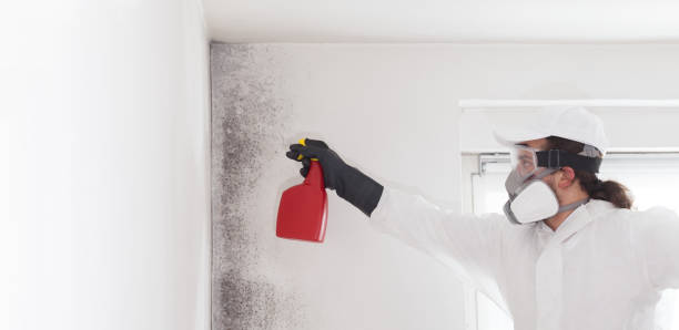 Best Residential Mold Removal  in Buhler, KS