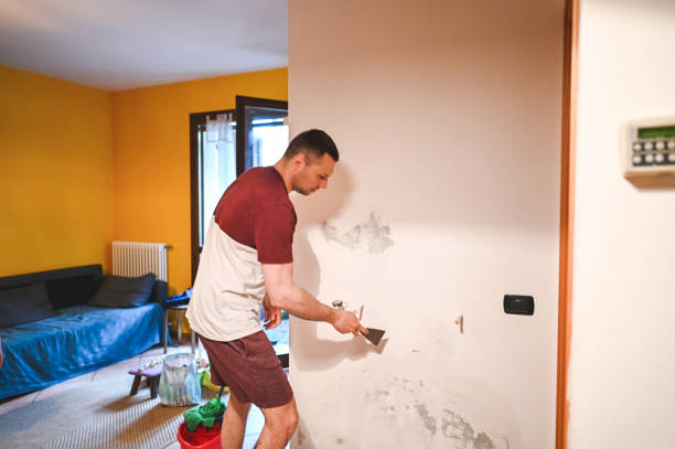 Best Mold Removal Company Near Me  in Buhler, KS